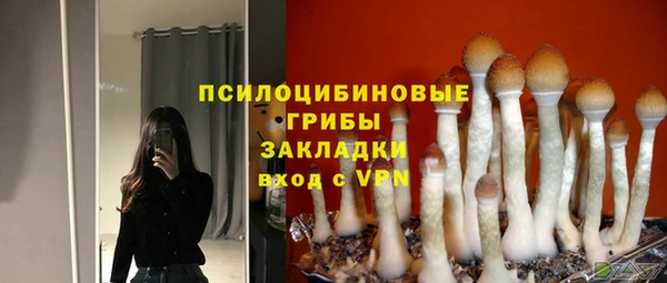 гидра Гусь-Хрустальный
