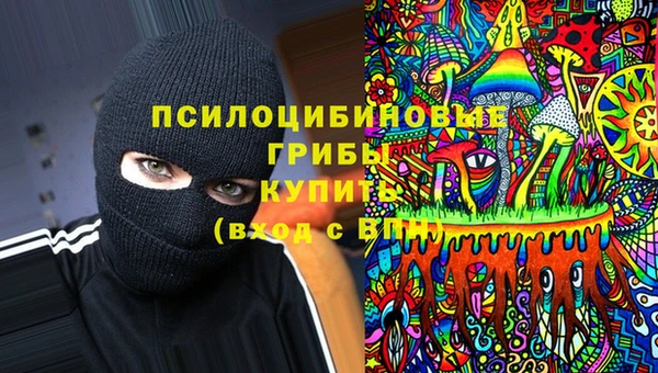 гидра Гусь-Хрустальный