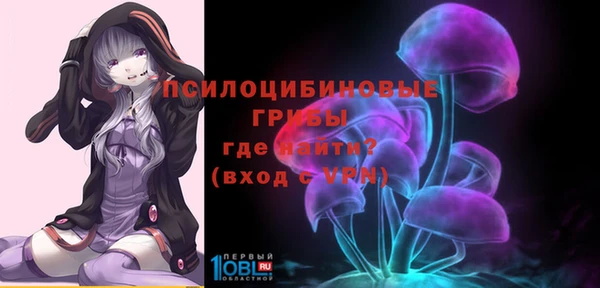 гидра Гусь-Хрустальный