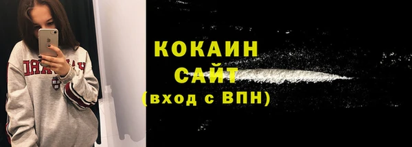 ешки Гусев