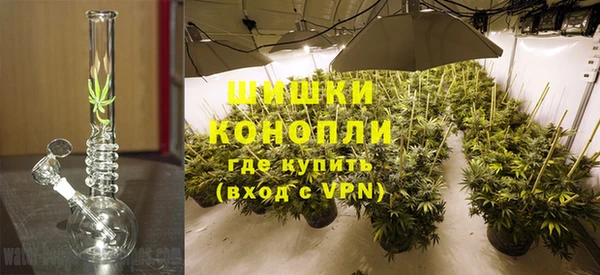 гидра Гусь-Хрустальный