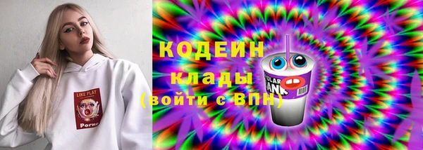 гидра Гусь-Хрустальный