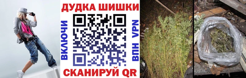 Шишки марихуана планчик  Купить где  Костомукша 